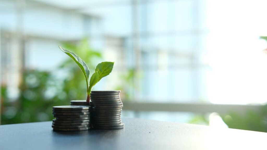 重ねられたコインと芽。Bufferの料金がチャンネル数で決まることのイメージ