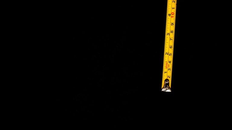 Notionで入らない・貼れないときの上限まとめ｜テキスト2,000字、選択肢100個、ファイル5MB