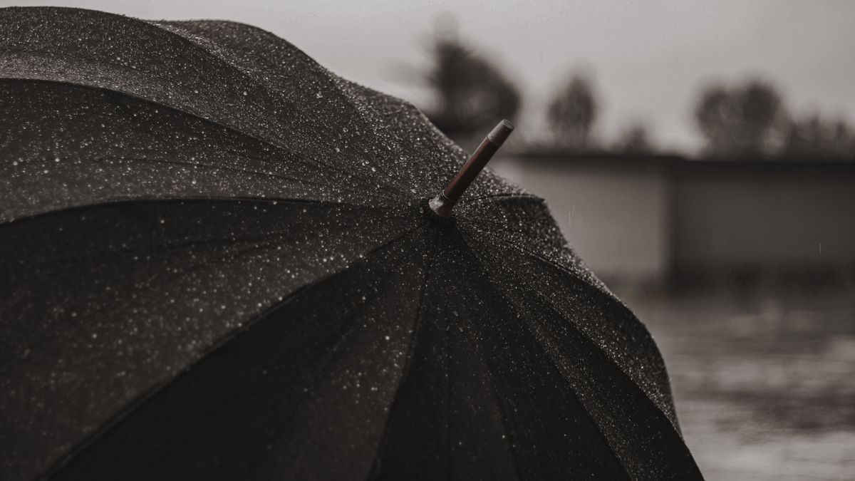 雨粒のついた黒い傘。備えの範囲を考えるイメージ